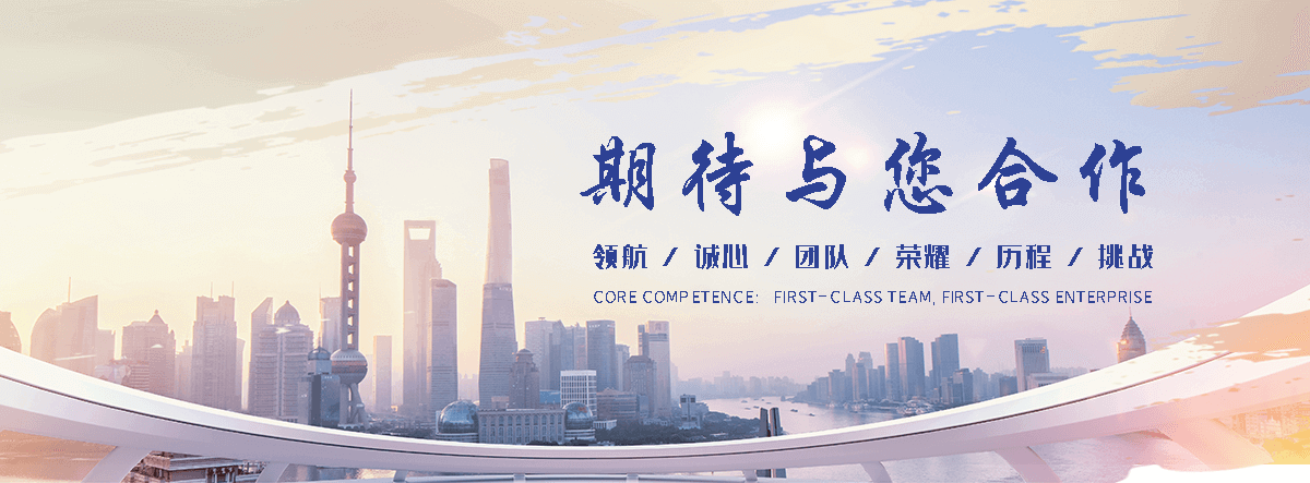 濮阳海狮租赁公司